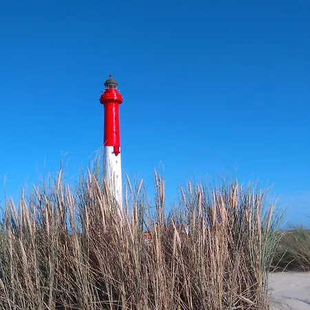 4p Avec Wifi Et Animaux Admis, Proche - Fr-1-705-64 Vakantiehuis Les Mathes