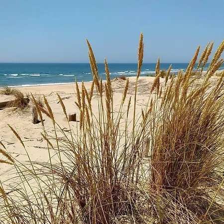 Vakantiehuis 4p Avec Wifi Et Animaux Admis, Proche - Fr-1-705-64 Les Mathes